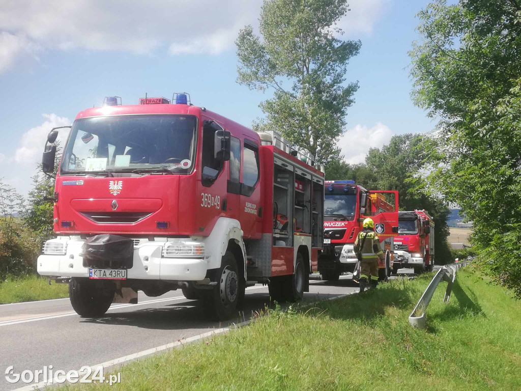 Zderzenie czołowe w Sędziszowej (10.08.2024)