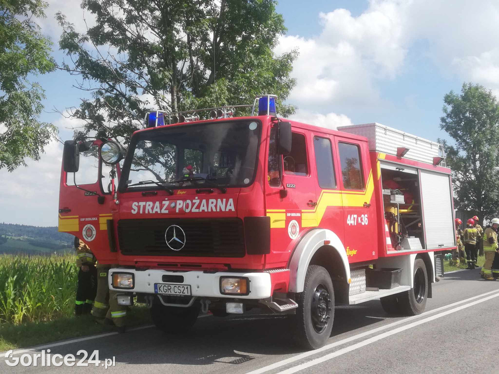 Zderzenie czołowe w Sędziszowej (10.08.2024)