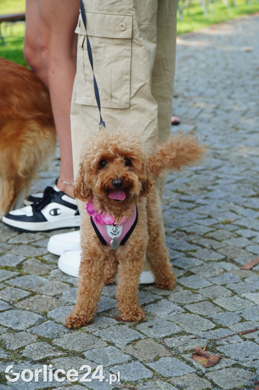 5 Rodzinny Dog Piknik w Kobylance 01.09.