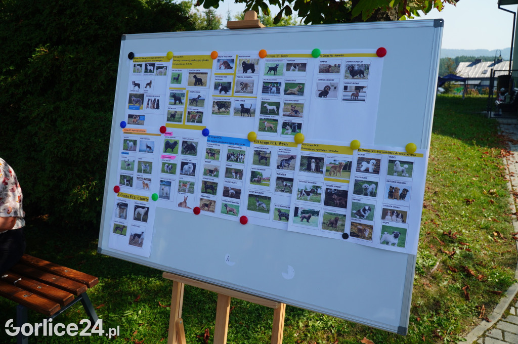 5 Rodzinny Dog Piknik w Kobylance 01.09.
