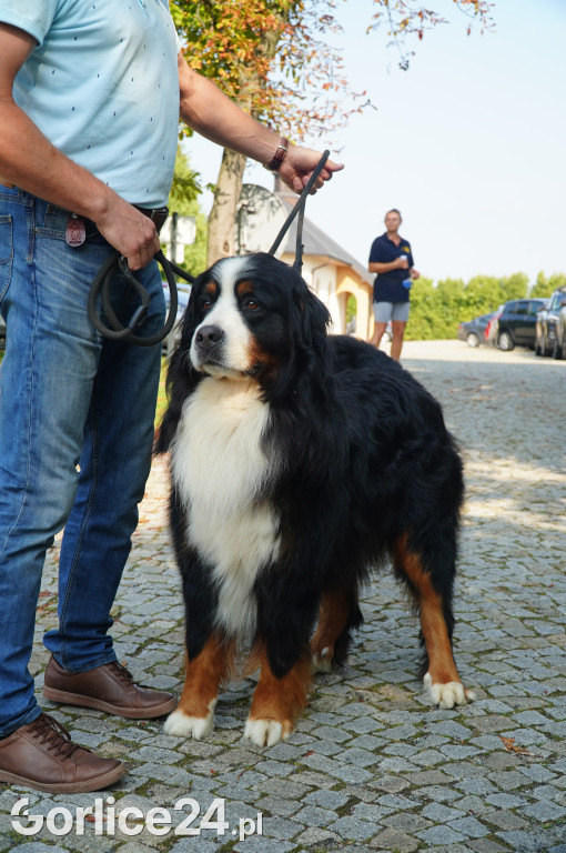 5 Rodzinny Dog Piknik w Kobylance 01.09.