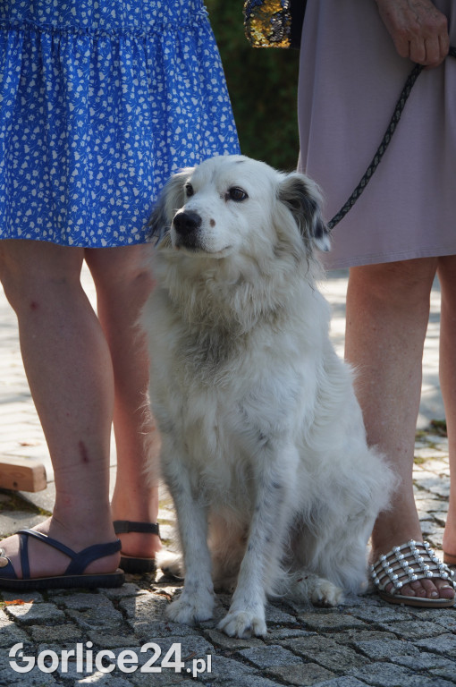 5 Rodzinny Dog Piknik w Kobylance 01.09.