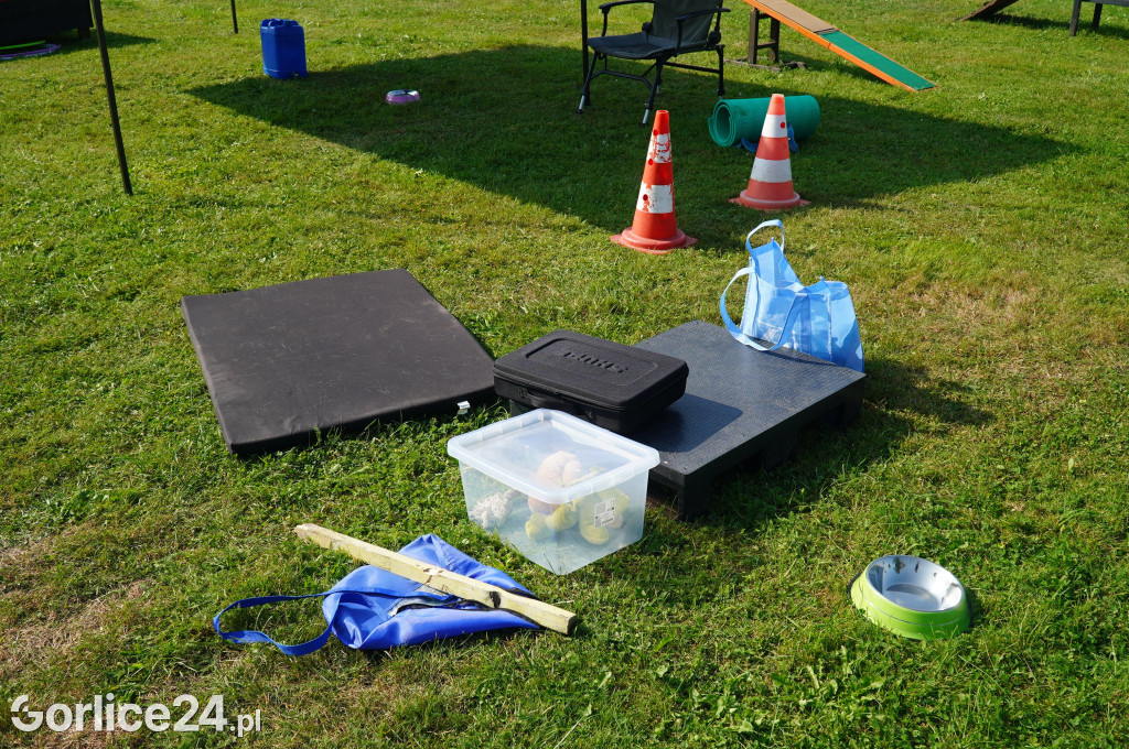 5 Rodzinny Dog Piknik w Kobylance 01.09.