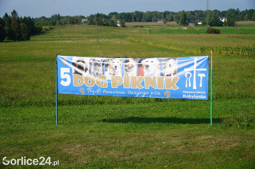 5 Rodzinny Dog Piknik w Kobylance 01.09.