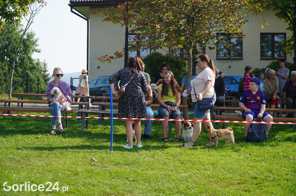 5 Rodzinny Dog Piknik w Kobylance 01.09.