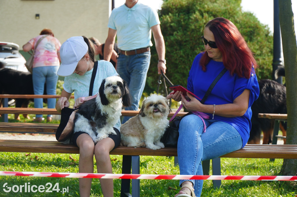 5 Rodzinny Dog Piknik w Kobylance 01.09.