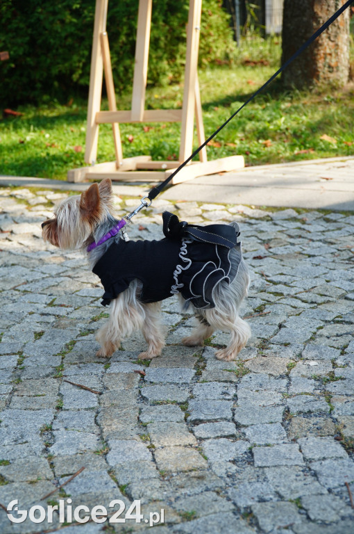 5 Rodzinny Dog Piknik w Kobylance 01.09.