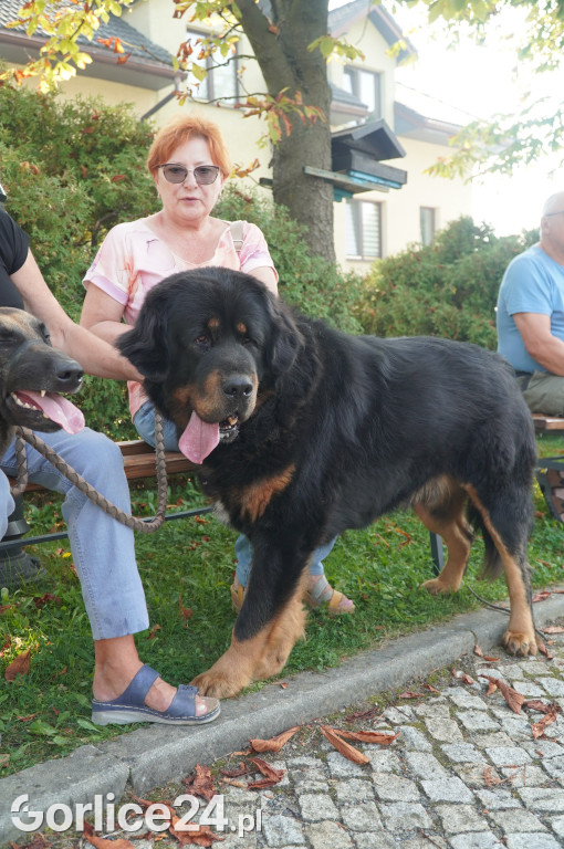 5 Rodzinny Dog Piknik w Kobylance 01.09.