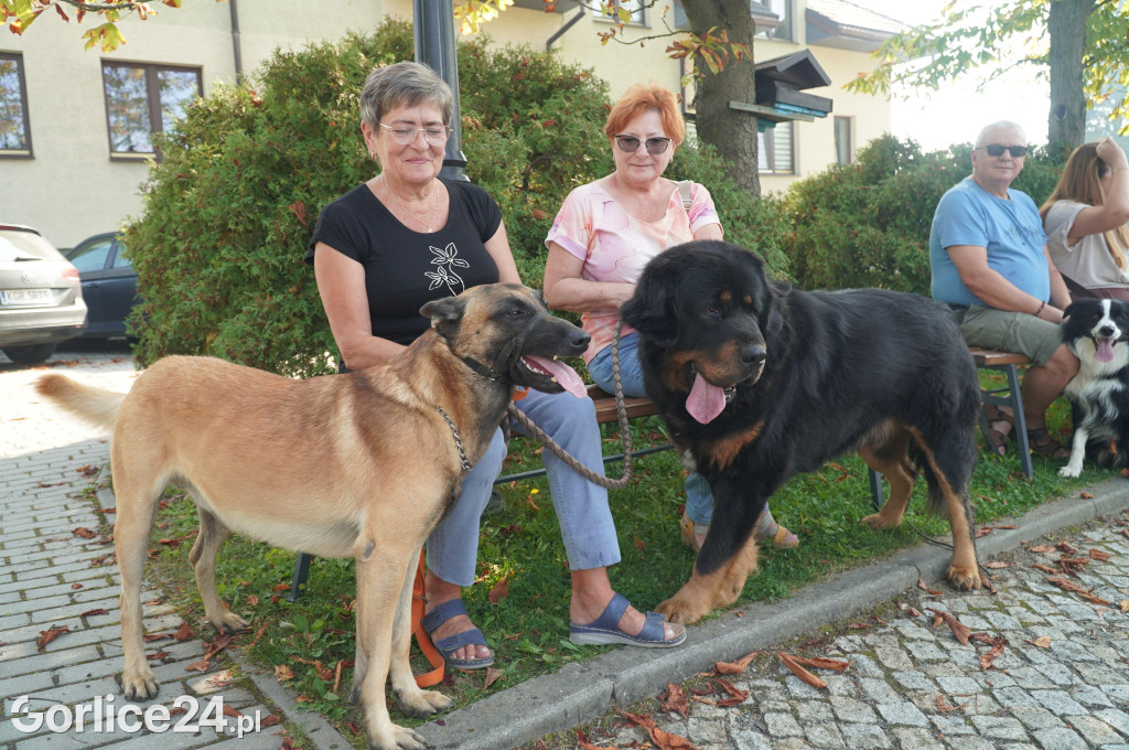 5 Rodzinny Dog Piknik w Kobylance 01.09.
