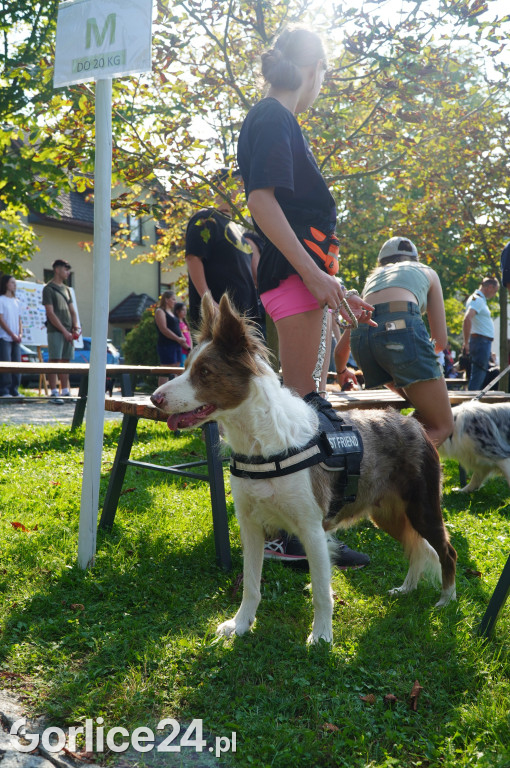 5 Rodzinny Dog Piknik w Kobylance 01.09.