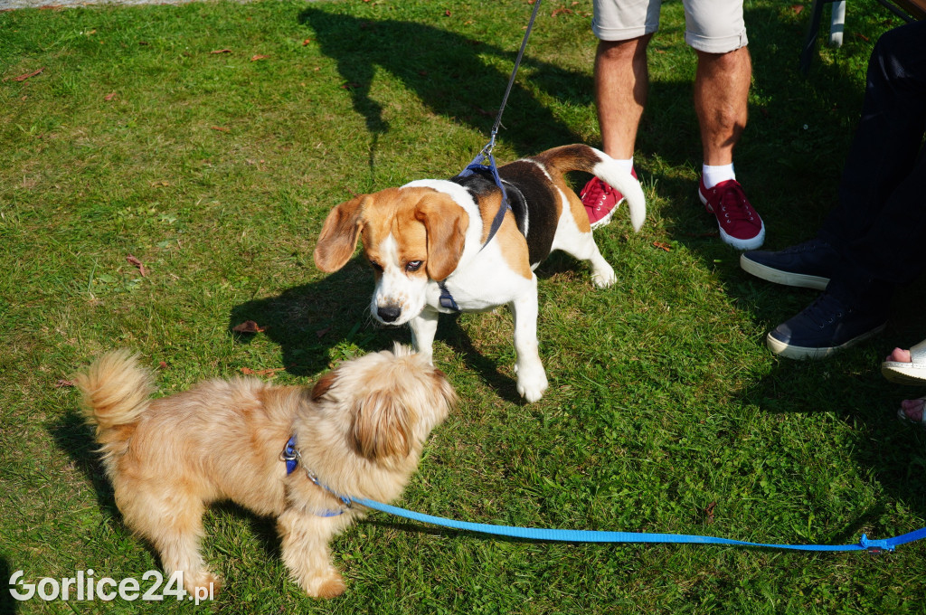 5 Rodzinny Dog Piknik w Kobylance 01.09.