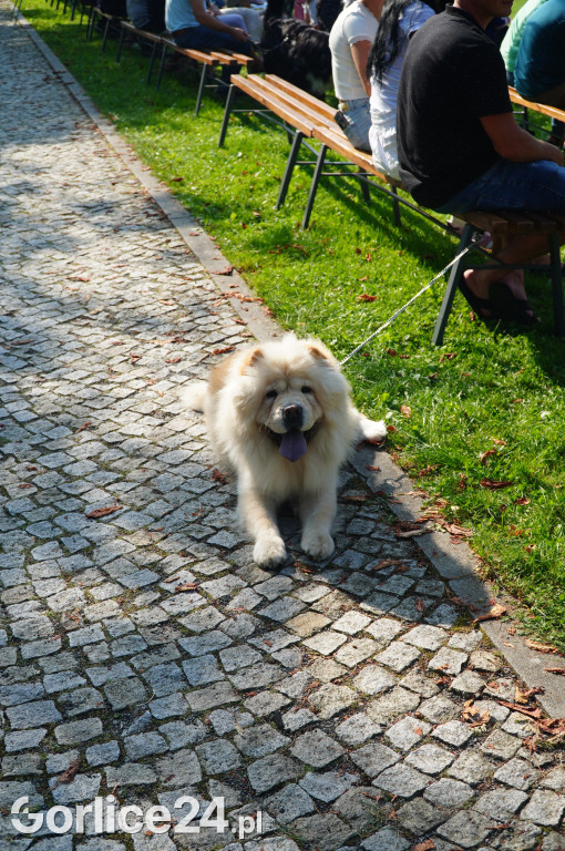 5 Rodzinny Dog Piknik w Kobylance 01.09.
