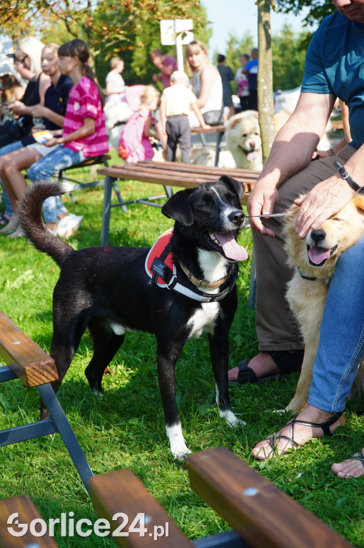 5 Rodzinny Dog Piknik w Kobylance 01.09.
