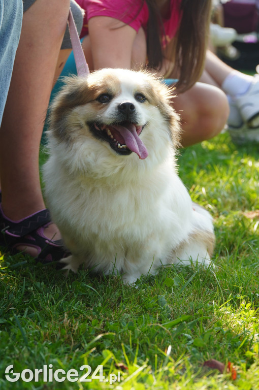 5 Rodzinny Dog Piknik w Kobylance 01.09.