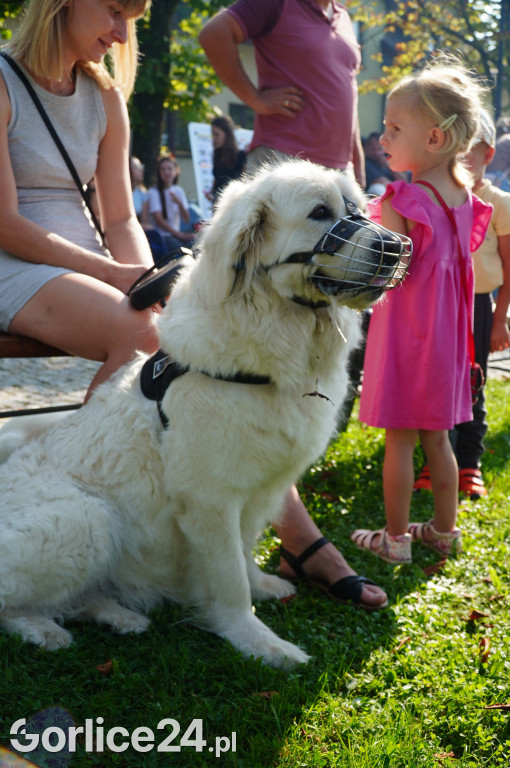 5 Rodzinny Dog Piknik w Kobylance 01.09.