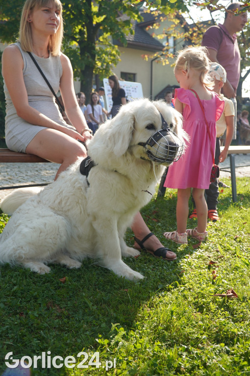 5 Rodzinny Dog Piknik w Kobylance 01.09.