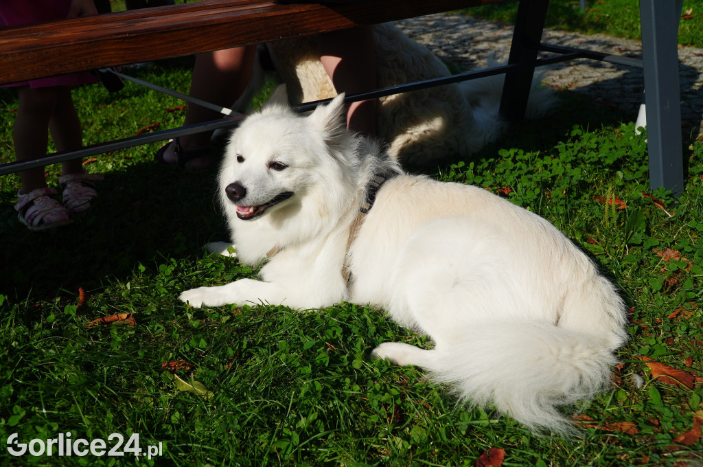 5 Rodzinny Dog Piknik w Kobylance 01.09.
