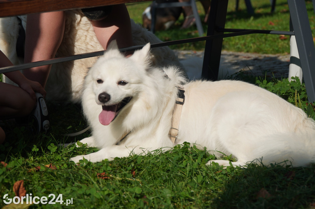 5 Rodzinny Dog Piknik w Kobylance 01.09.