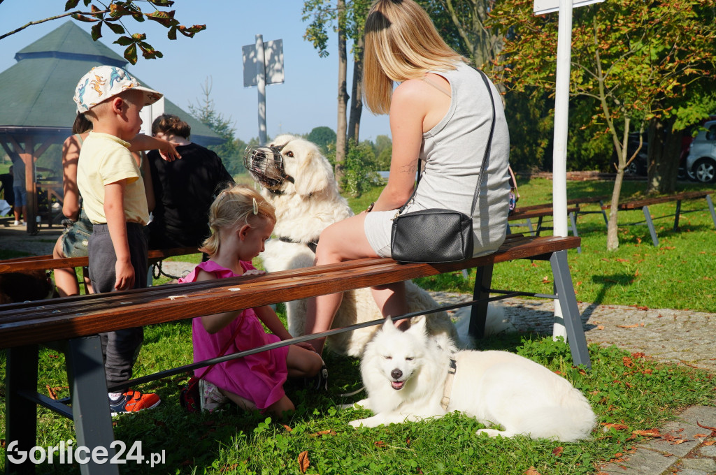 5 Rodzinny Dog Piknik w Kobylance 01.09.