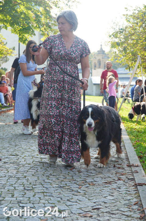 5 Rodzinny Dog Piknik w Kobylance 01.09.