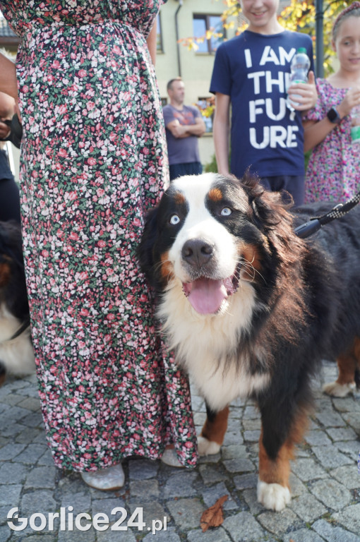 5 Rodzinny Dog Piknik w Kobylance 01.09.