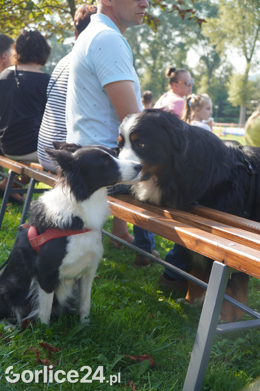 5 Rodzinny Dog Piknik w Kobylance 01.09.