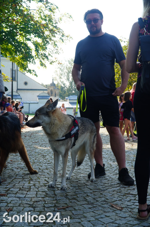 5 Rodzinny Dog Piknik w Kobylance 01.09.