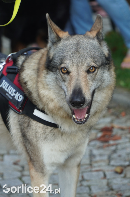 5 Rodzinny Dog Piknik w Kobylance 01.09.