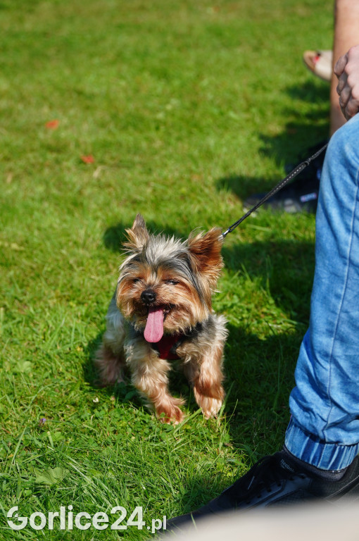 5 Rodzinny Dog Piknik w Kobylance 01.09.