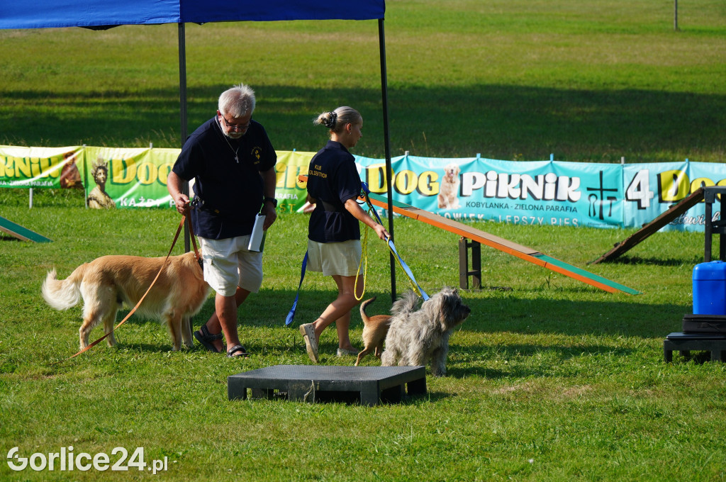 5 Rodzinny Dog Piknik w Kobylance 01.09.