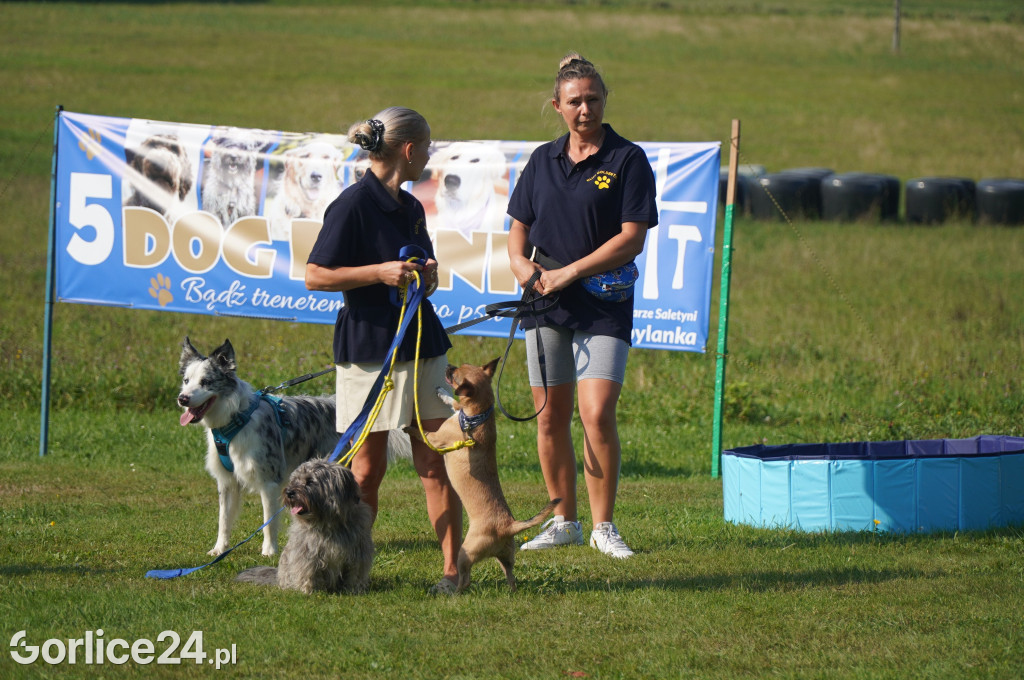 5 Rodzinny Dog Piknik w Kobylance 01.09.