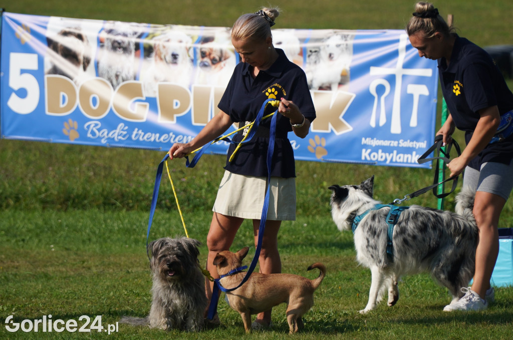 5 Rodzinny Dog Piknik w Kobylance 01.09.