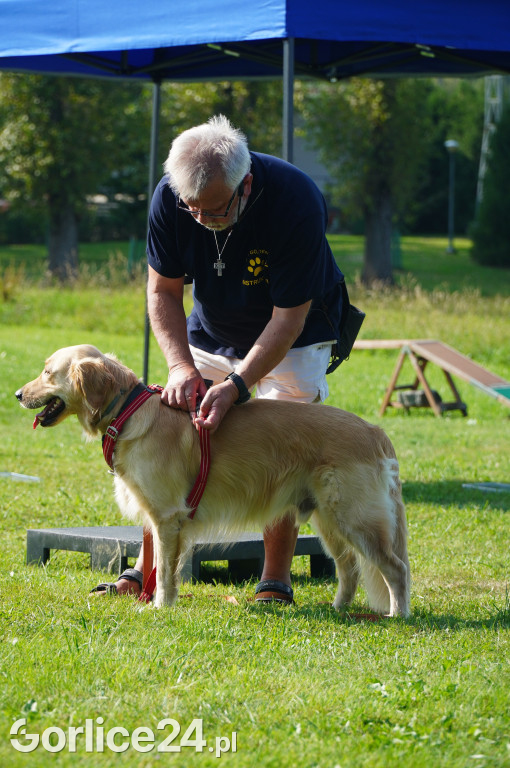 5 Rodzinny Dog Piknik w Kobylance 01.09.
