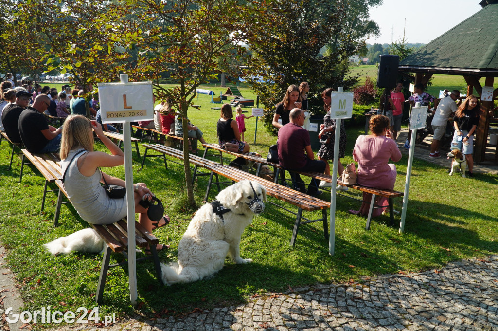 5 Rodzinny Dog Piknik w Kobylance 01.09.