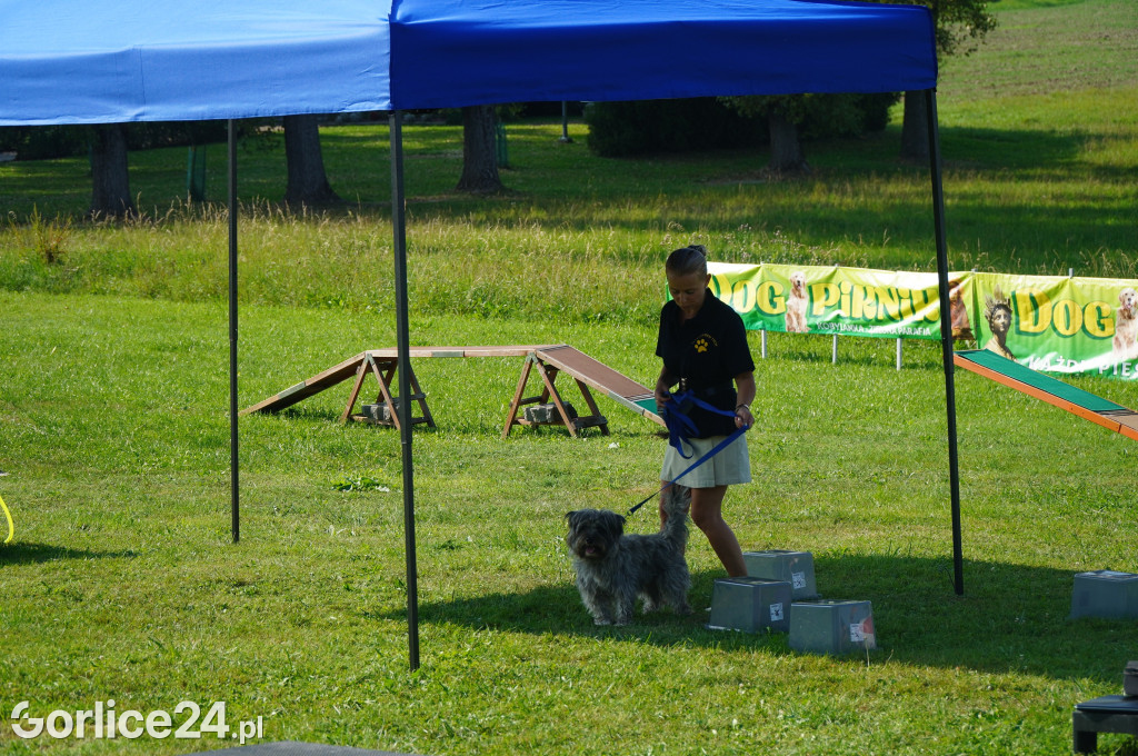 5 Rodzinny Dog Piknik w Kobylance 01.09.