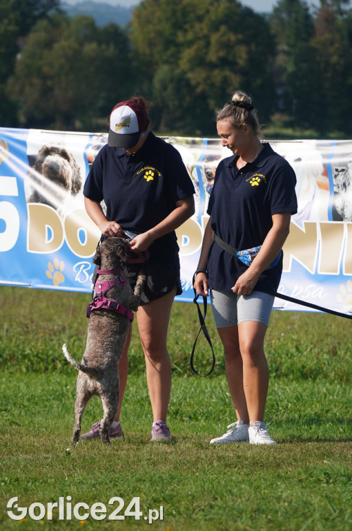5 Rodzinny Dog Piknik w Kobylance 01.09.