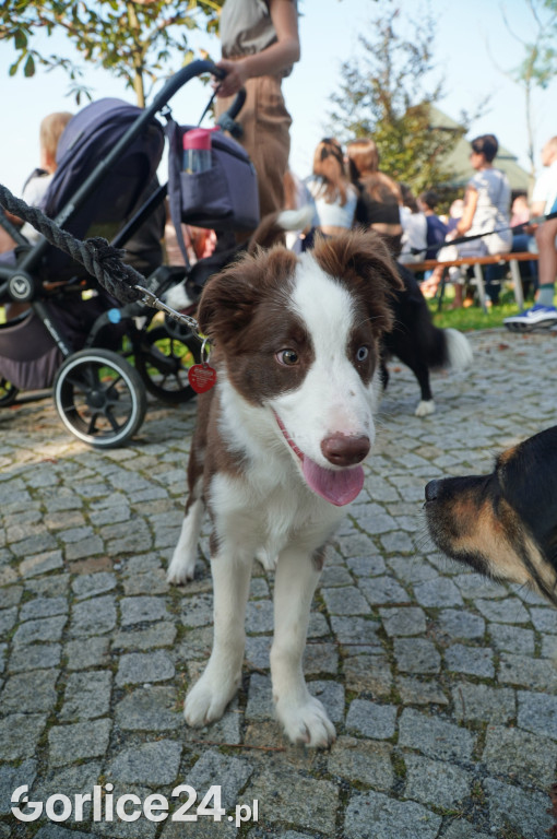 5 Rodzinny Dog Piknik w Kobylance 01.09.