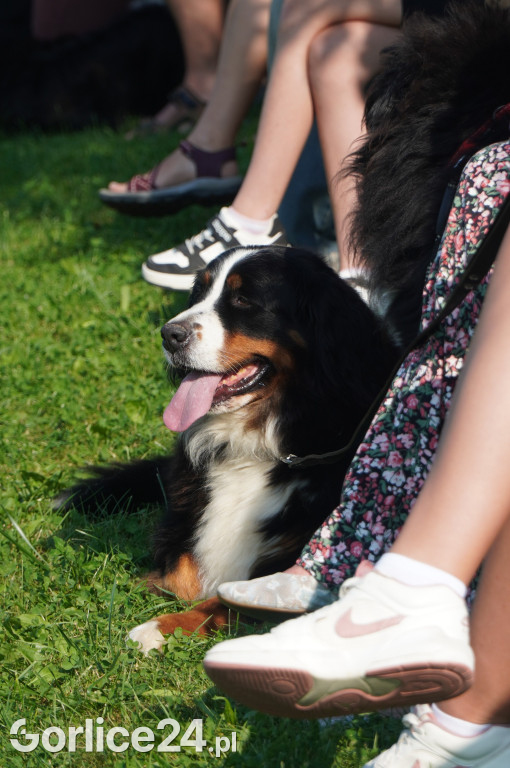 5 Rodzinny Dog Piknik w Kobylance 01.09.