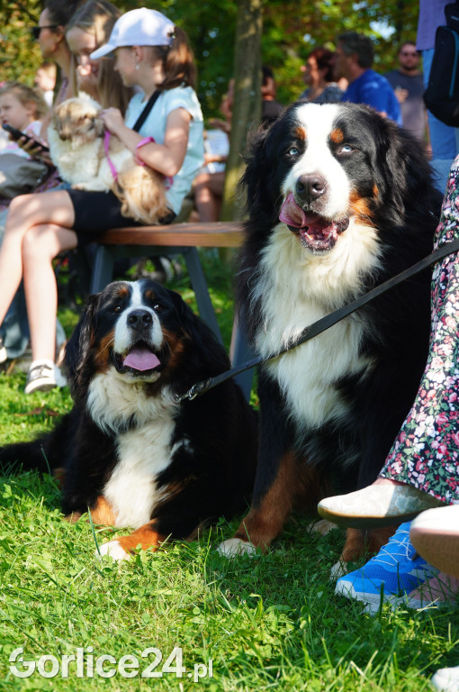 5 Rodzinny Dog Piknik w Kobylance 01.09.