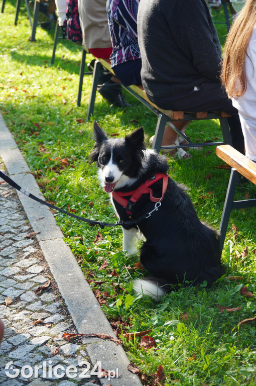 5 Rodzinny Dog Piknik w Kobylance 01.09.