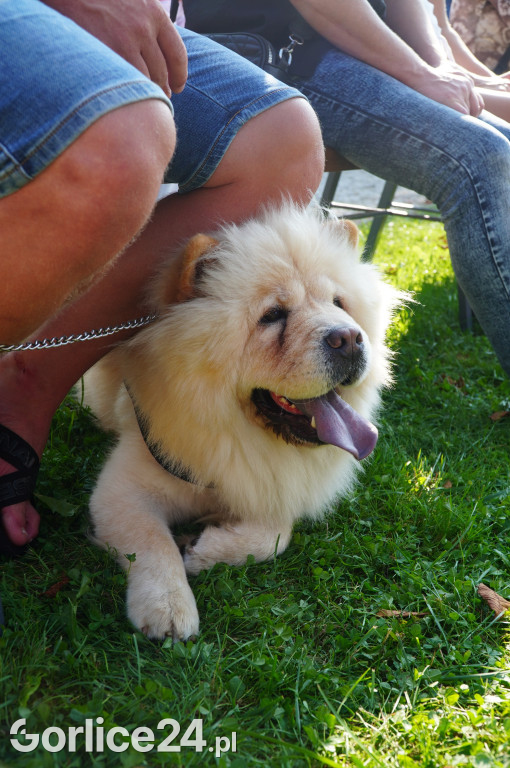5 Rodzinny Dog Piknik w Kobylance 01.09.