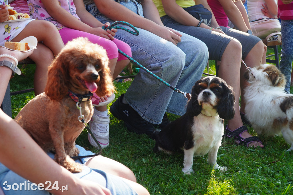 5 Rodzinny Dog Piknik w Kobylance 01.09.