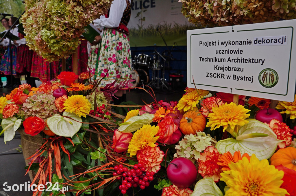 Agro Gorlice 2024 w Bystrej (sobota 28.09.)