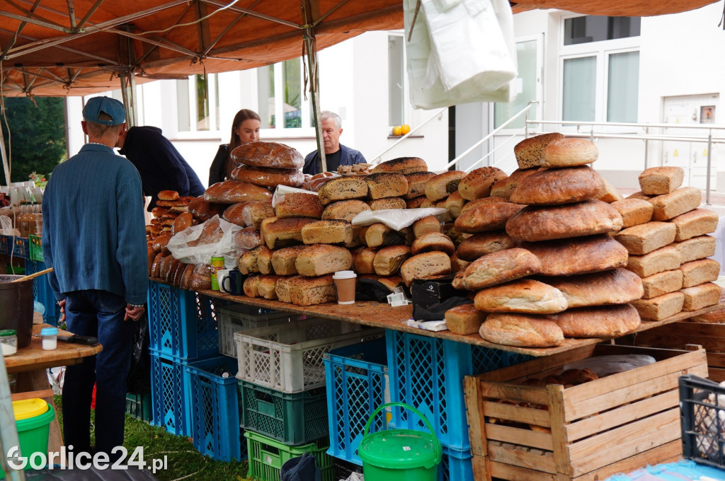 Agro Gorlice 2024 w Bystrej (sobota 28.09.)