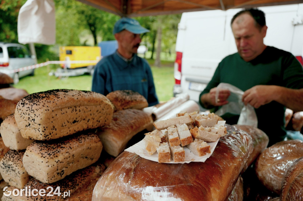 Agro Gorlice 2024 w Bystrej (sobota 28.09.)