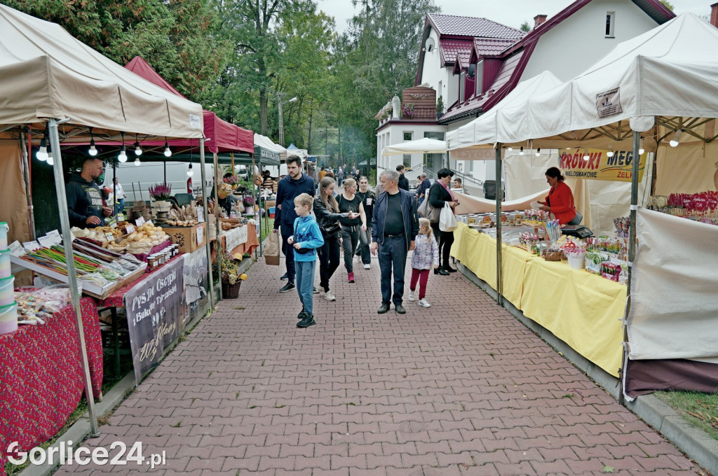 Agro Gorlice 2024 w Bystrej (sobota 28.09.)