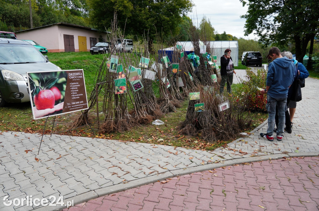 Agro Gorlice 2024 w Bystrej (sobota 28.09.)