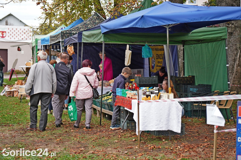 Agro Gorlice 2024 w Bystrej (sobota 28.09.)