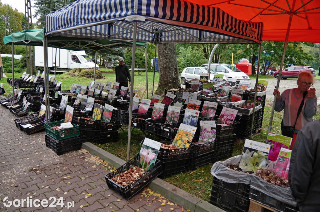 Agro Gorlice 2024 w Bystrej (sobota 28.09.)