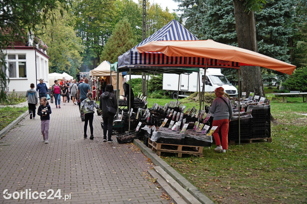 Agro Gorlice 2024 w Bystrej (sobota 28.09.)